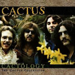 Cactus : Cactology : the Cactus Collection